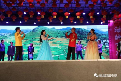 情系鄉(xiāng)土 藤縣原創(chuàng)音樂(lè)作品演唱暨迎春文藝晚會(huì)圓滿(mǎn)落幕